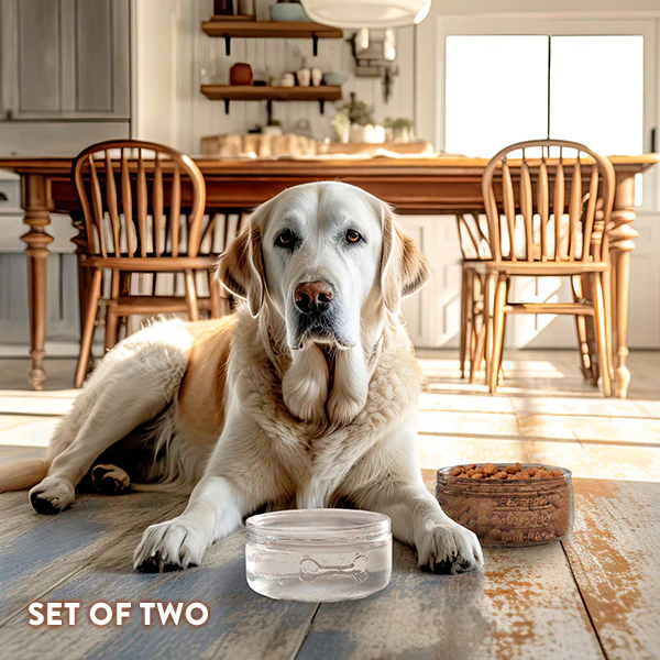 Mason Jar Dog Bowls, Set of 2