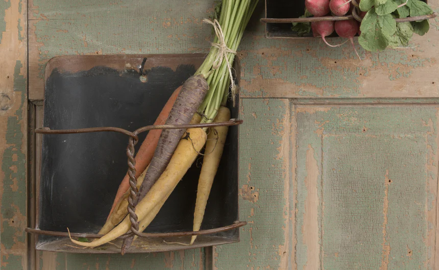 Wall Mounted Grain Feed Scoop Shelf  Set of 3