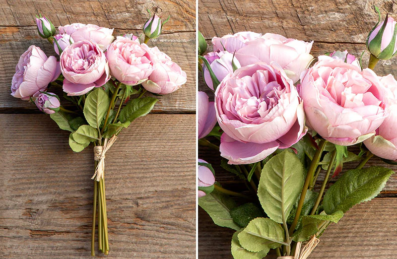 Antique Garden Peony Bundle