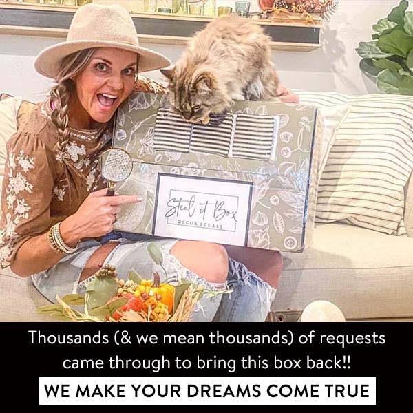 2021 Fall: The Seasonal Collection by Steal it Box