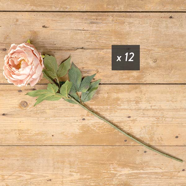 Soft Pink Peony Bundle, 12 Stems