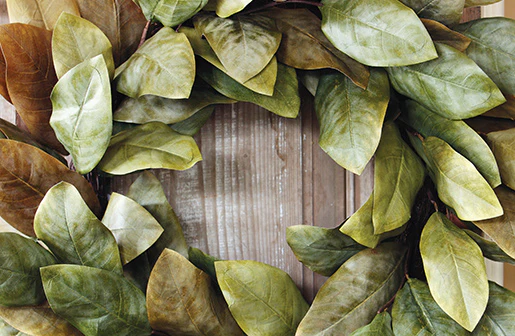 Magnolia Leaf Wreath