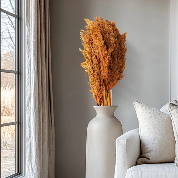 Auburn Pampas Grass, Set of 4 Bundles