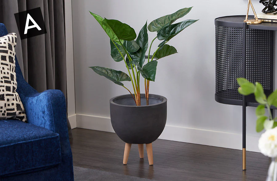 Naturalistic Potted Plant, Pick Your Style