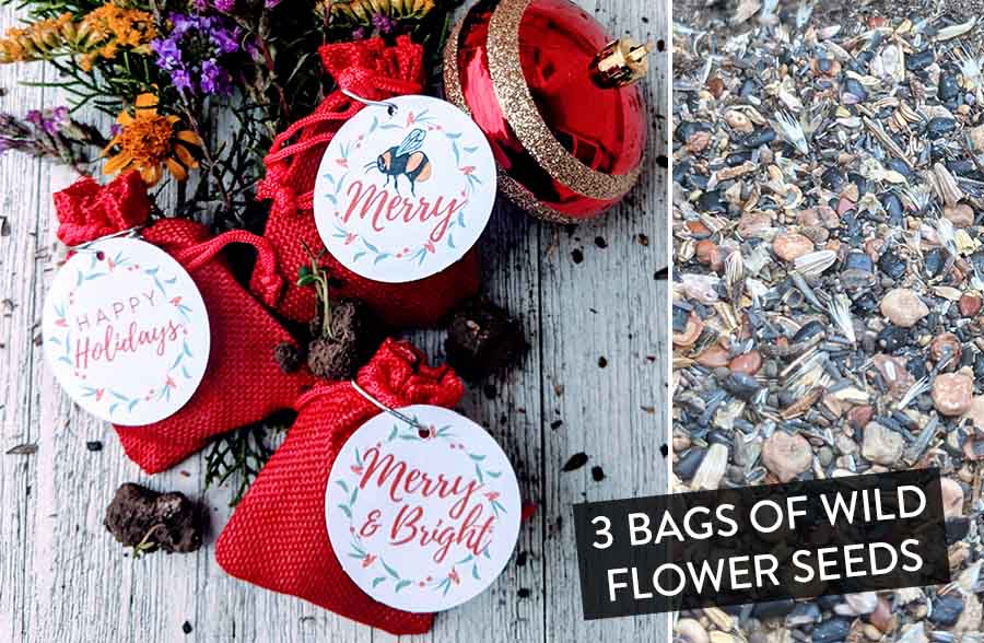 Wildflower Seed Ball Gift Sacks, Set of 3 | Handmade in the USA