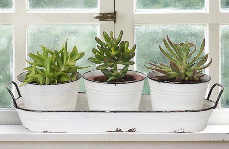 Enamel Planters With Tray  Set of 3