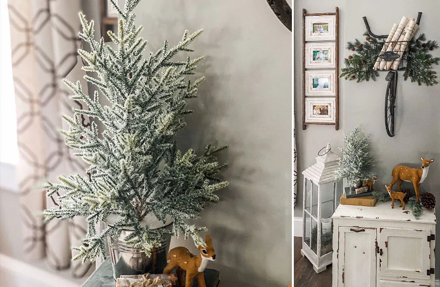 Potted Snow Mountain Pine Tree