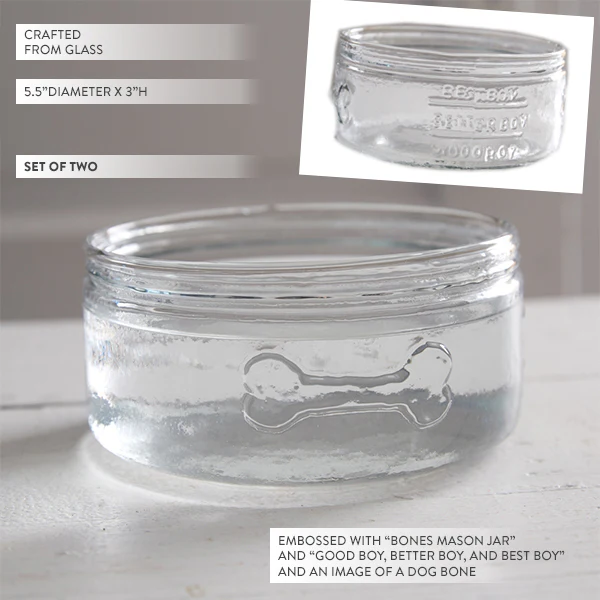 Mason Jar Dog Bowls, Set of 2